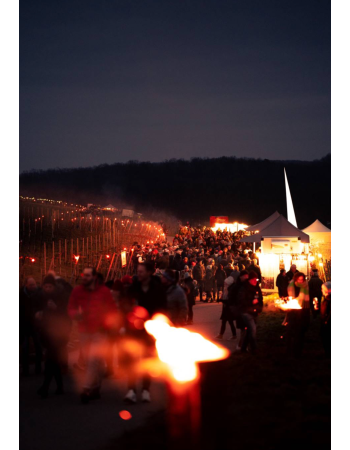 Rebenglühen Tickets